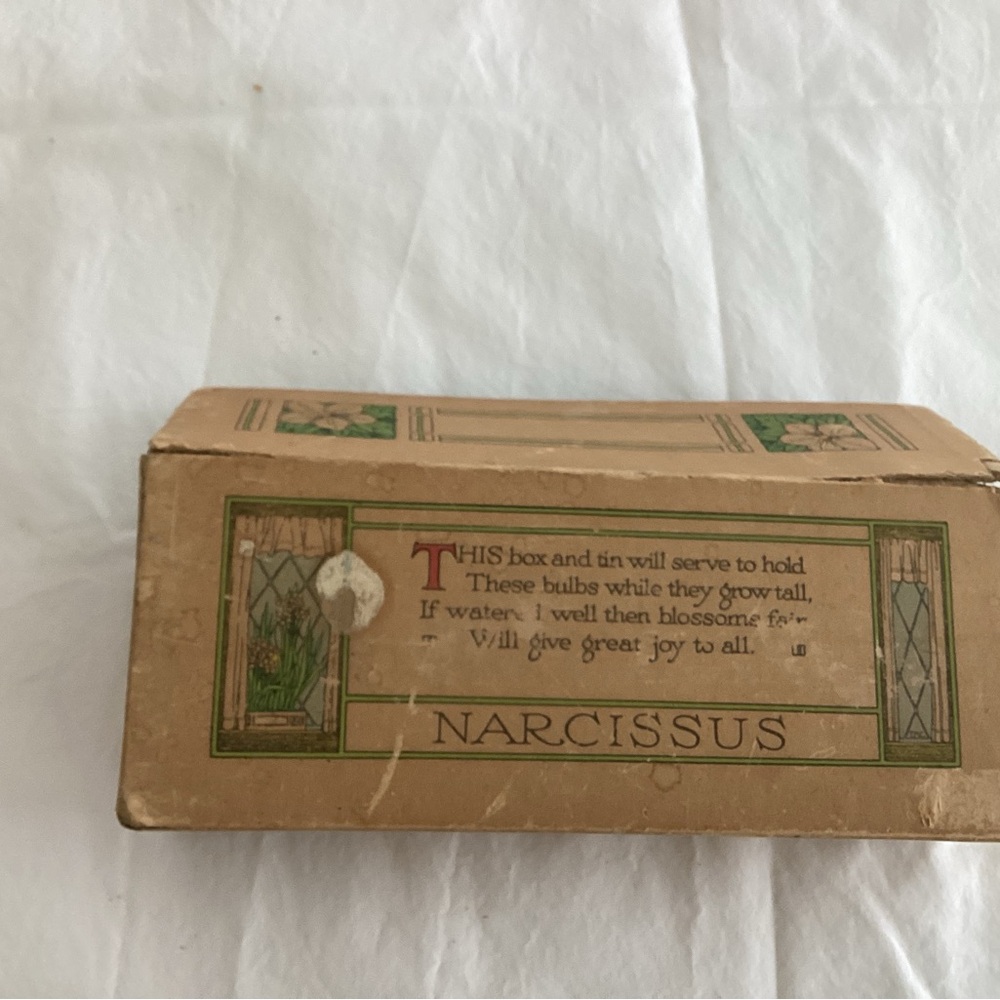 Vintage pre-owned Narcissus Box 1950s still could plant bulbs in it today!